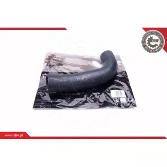 Gaine de suralimentation ESEN SKV 43SKV145