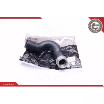Gaine de suralimentation ESEN SKV 43SKV165