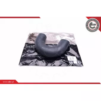 Gaine de suralimentation ESEN SKV 43SKV178