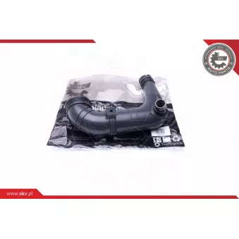 Gaine de suralimentation ESEN SKV 43SKV227