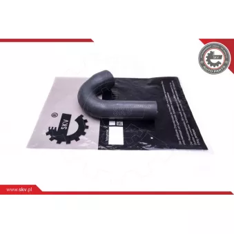 Gaine de suralimentation ESEN SKV 43SKV255