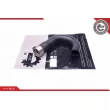 Gaine de suralimentation ESEN SKV 43SKV256 - Visuel 1