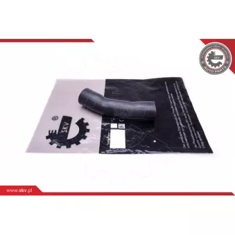 Gaine de suralimentation ESEN SKV 43SKV315