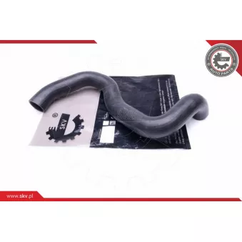 Gaine de suralimentation ESEN SKV 43SKV355