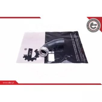 Gaine de suralimentation ESEN SKV 43SKV386