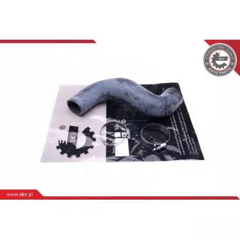Gaine de suralimentation ESEN SKV 43SKV396