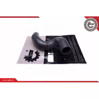 Gaine de suralimentation ESEN SKV 43SKV450