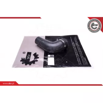 Gaine de suralimentation ESEN SKV 43SKV458