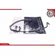 Durite de radiateur ESEN SKV 43SKV639 - Visuel 1