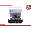 Module de tube d'admission ESEN SKV 49SKV001 - Visuel 1