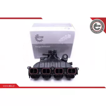 Module de tube d'admission ESEN SKV 49SKV001