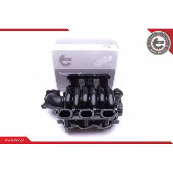 Module de tube d'admission ESEN SKV 49SKV002