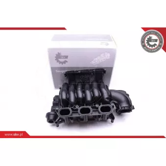 Module de tube d'admission ESEN SKV 49SKV004