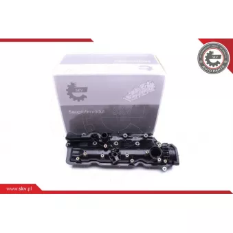 Module de tube d'admission ESEN SKV 49SKV005