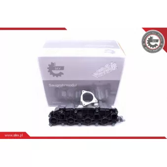 Module de tube d'admission ESEN SKV 49SKV006