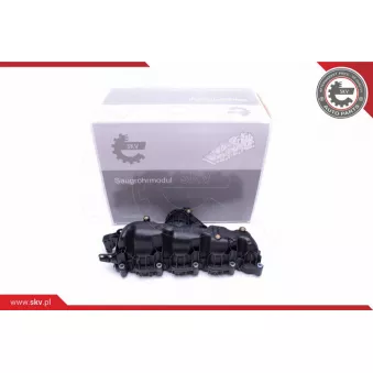 Module de tube d'admission ESEN SKV 49SKV007