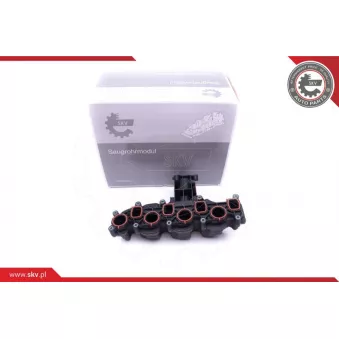 Module de tube d'admission ESEN SKV 49SKV008