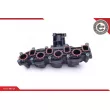 Module de tube d'admission ESEN SKV 49SKV008 - Visuel 2