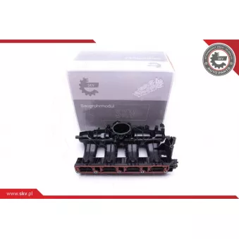 Module de tube d'admission ESEN SKV 49SKV009