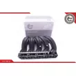 Module de tube d'admission ESEN SKV 49SKV012 - Visuel 1