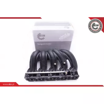 Module de tube d'admission ESEN SKV 49SKV012