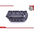 Module de tube d'admission ESEN SKV 49SKV012 - Visuel 3