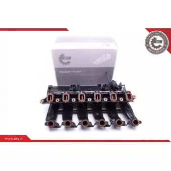 Module de tube d'admission ESEN SKV 49SKV016