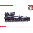 Module de tube d'admission ESEN SKV 49SKV019 - Visuel 2