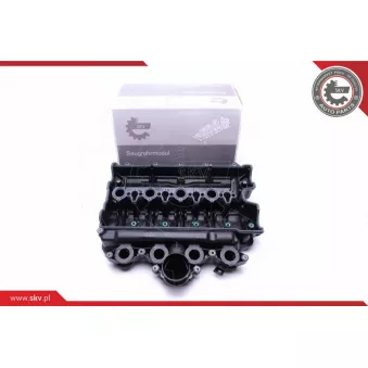 Module de tube d'admission ESEN SKV 49SKV021