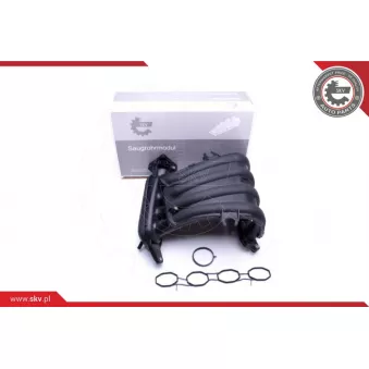 Module de tube d'admission ESEN SKV 49SKV023