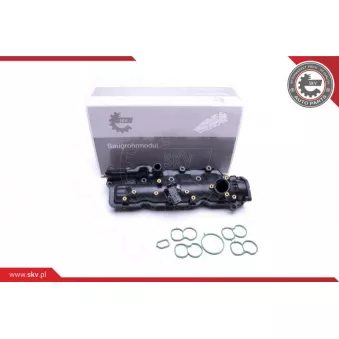 Module de tube d'admission ESEN SKV 49SKV024