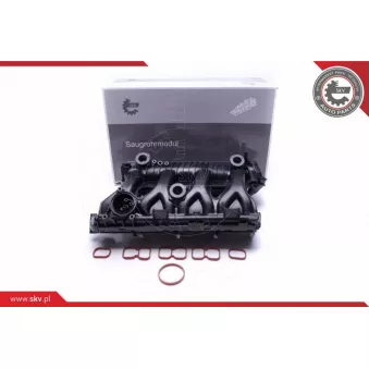 Module de tube d'admission ESEN SKV 49SKV025