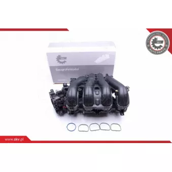 Module de tube d'admission ESEN SKV 49SKV027