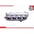 Module de tube d'admission ESEN SKV 49SKV029 - Visuel 3