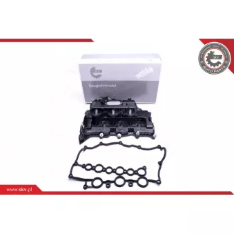 Module de tube d'admission ESEN SKV 49SKV031