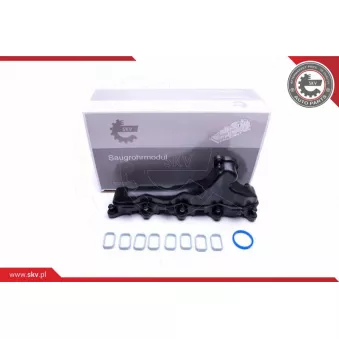 Module de tube d'admission ESEN SKV 49SKV032