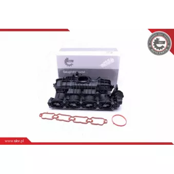 Module de tube d'admission ESEN SKV 49SKV035