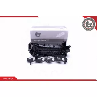 Module de tube d'admission ESEN SKV 49SKV037