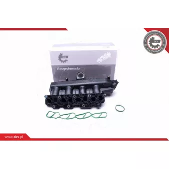 Module de tube d'admission ESEN SKV 49SKV038