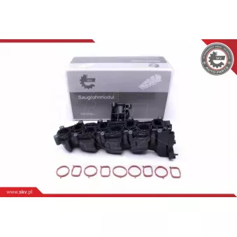 Module de tube d'admission ESEN SKV 49SKV040