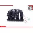 Module de tube d'admission ESEN SKV 49SKV042 - Visuel 2