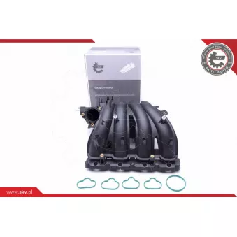 Module de tube d'admission ESEN SKV 49SKV043