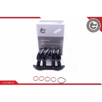 Module de tube d'admission ESEN SKV 49SKV044