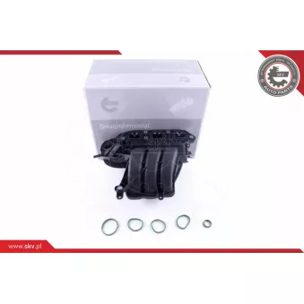 Module de tube d'admission ESEN SKV 49SKV056