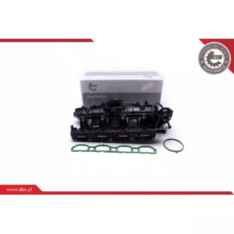 Module de tube d'admission ESEN SKV