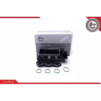 Module de tube d'admission ESEN SKV 49SKV061