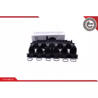 Module de tube d'admission ESEN SKV 49SKV064