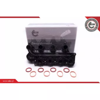 Module de tube d'admission ESEN SKV 49SKV065