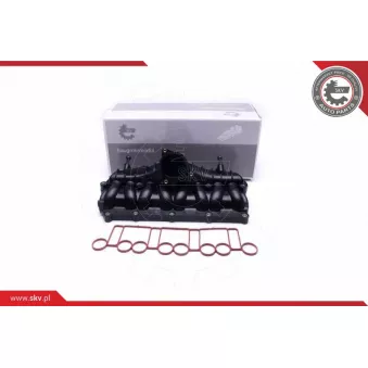 Module de tube d'admission ESEN SKV 49SKV066