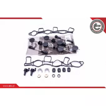 Kit de réparation, module de tube d'aspiration ESEN SKV 49SKV500